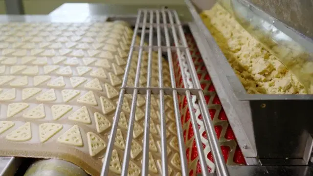 Automated production line forming cheese shaped crackers from dough